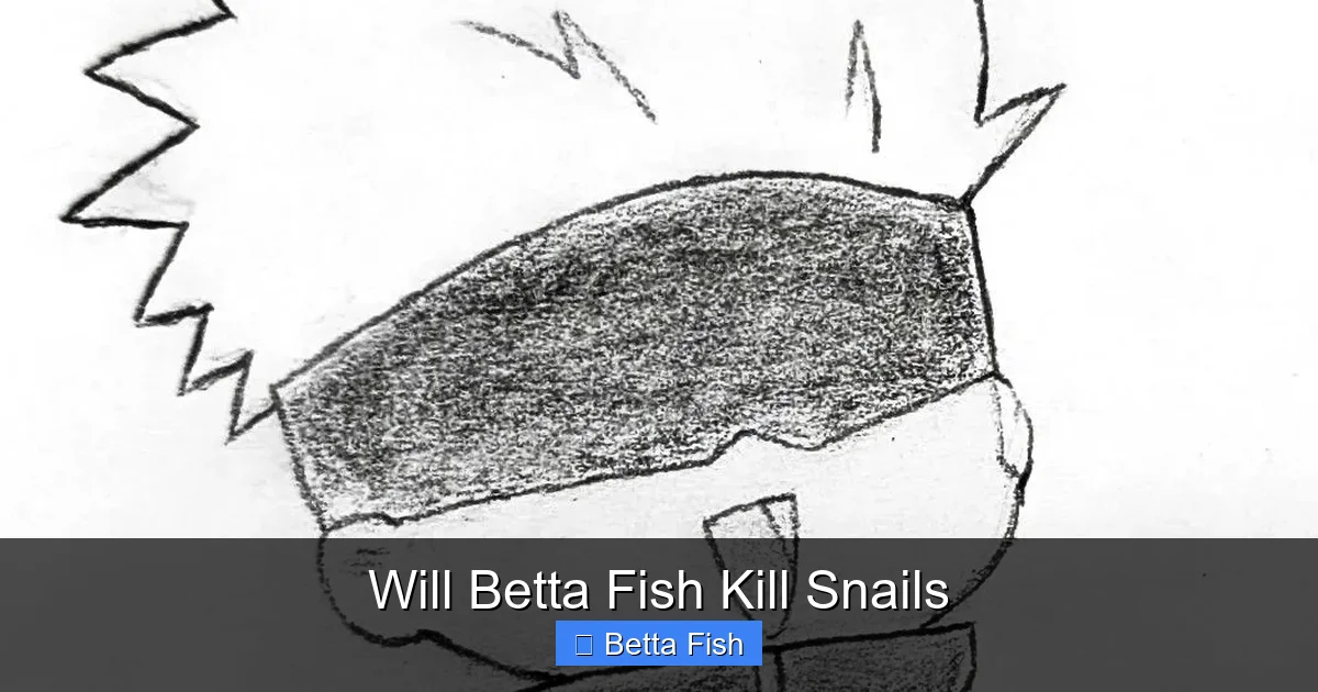 Will Betta Fish Kill Snails
