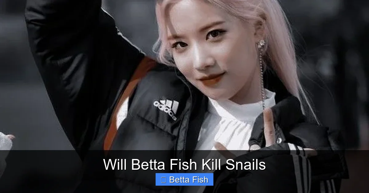 Will Betta Fish Kill Snails