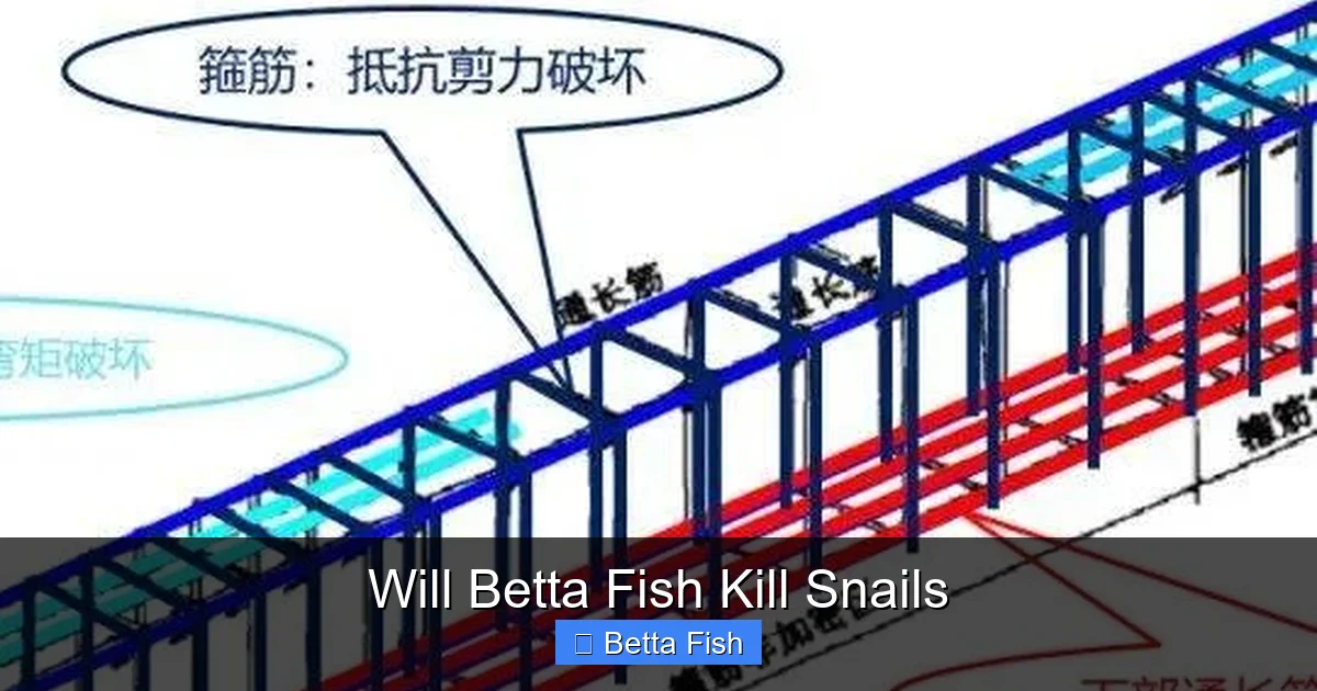 Will Betta Fish Kill Snails