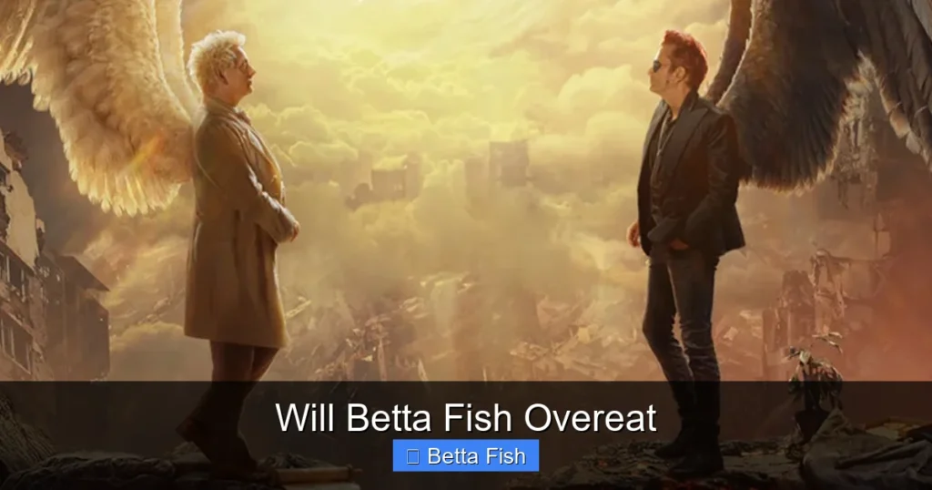 Will Betta Fish Overeat