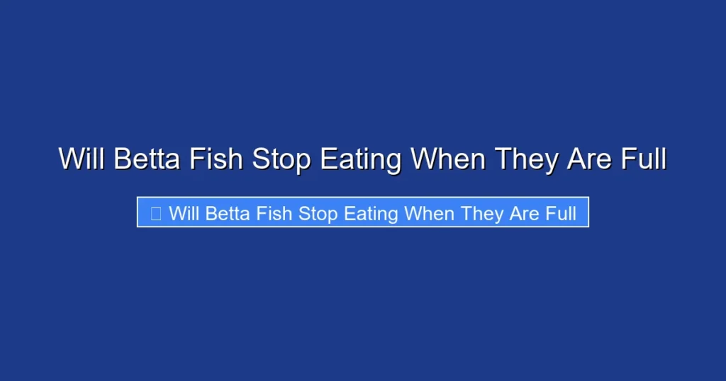 Will Betta Fish Stop Eating When They Are Full