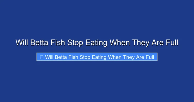 Will Betta Fish Stop Eating When They Are Full