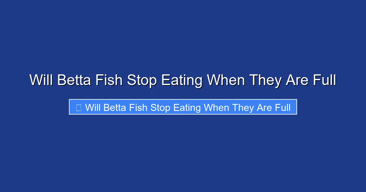 Will Betta Fish Stop Eating When They Are Full
