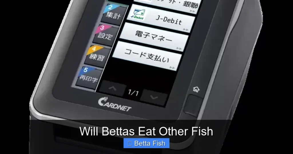 Will Bettas Eat Other Fish