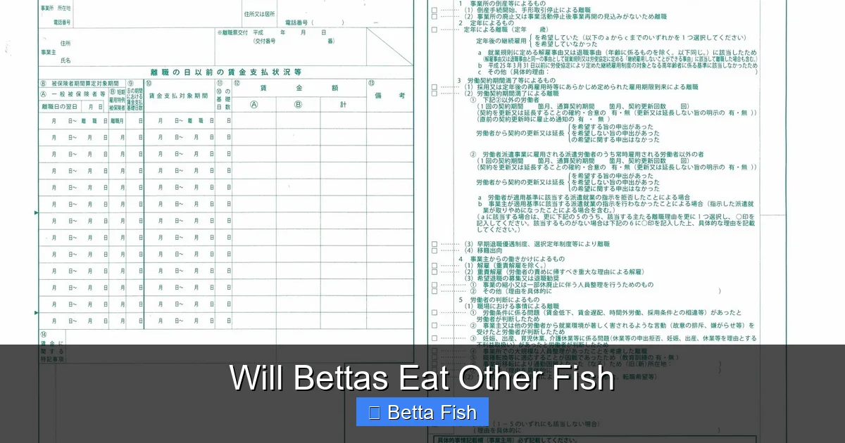 Will Bettas Eat Other Fish