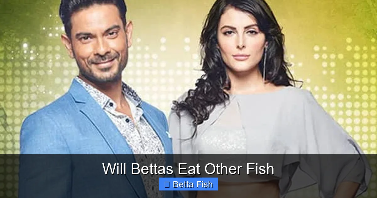 Will Bettas Eat Other Fish