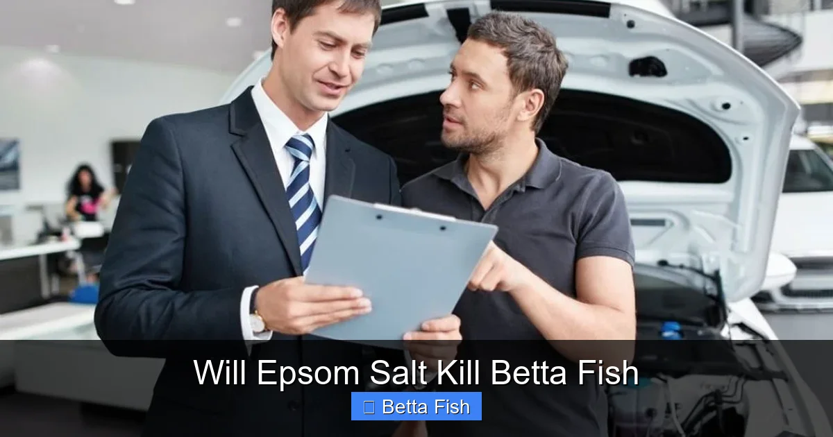 Will Epsom Salt Kill Betta Fish