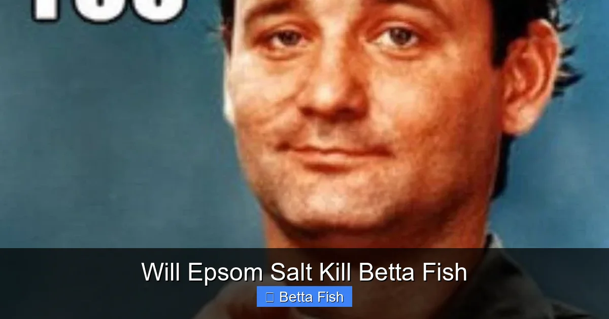 Will Epsom Salt Kill Betta Fish