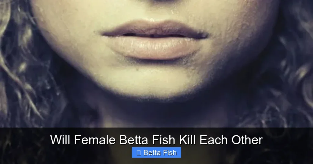 Will Female Betta Fish Kill Each Other
