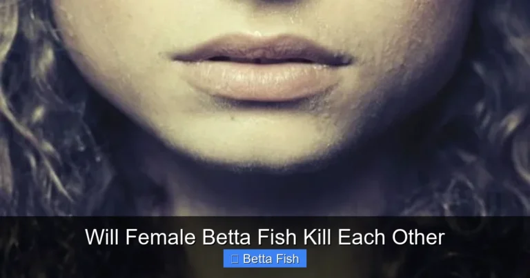 Will Female Betta Fish Kill Each Other