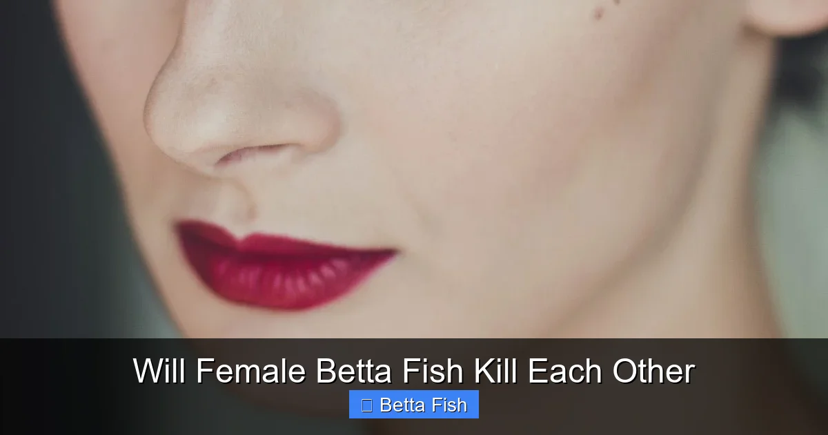Will Female Betta Fish Kill Each Other