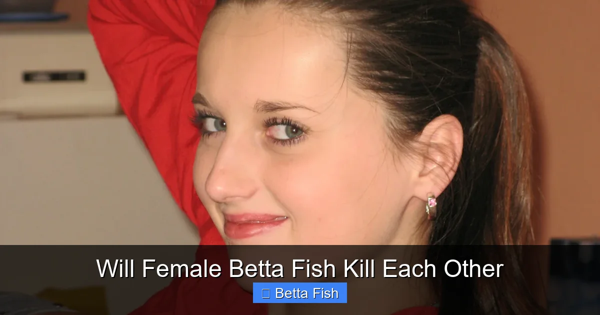 Will Female Betta Fish Kill Each Other