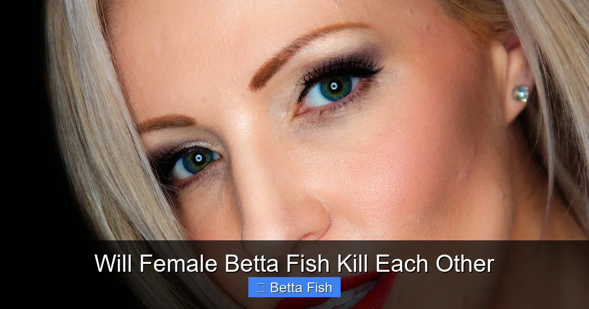 Will Female Betta Fish Kill Each Other