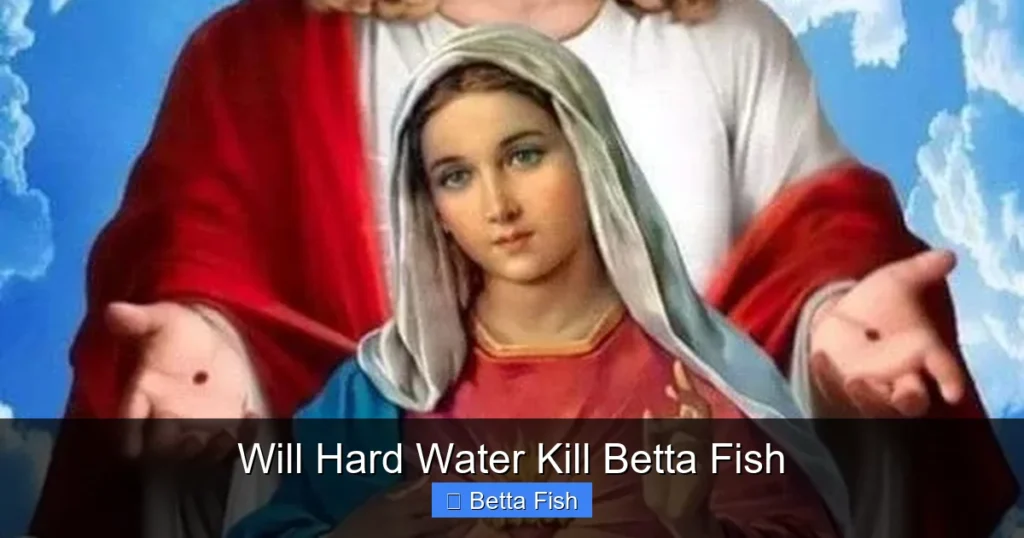Will Hard Water Kill Betta Fish