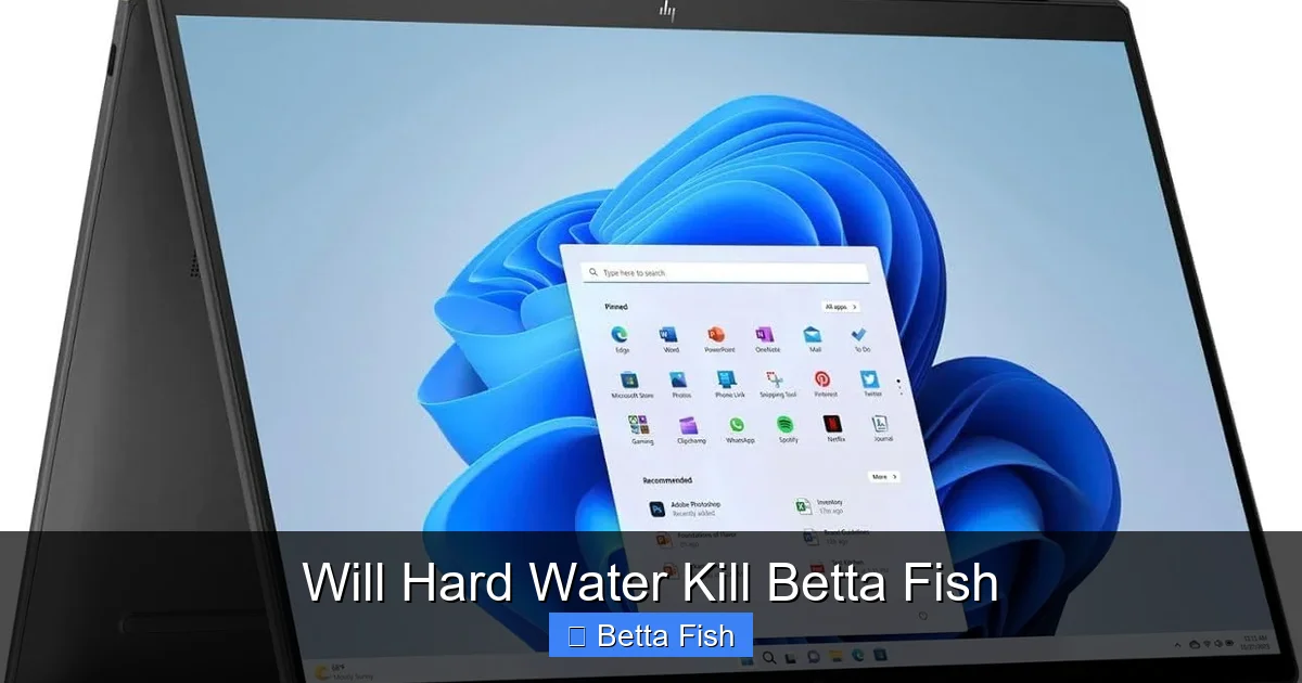 Will Hard Water Kill Betta Fish