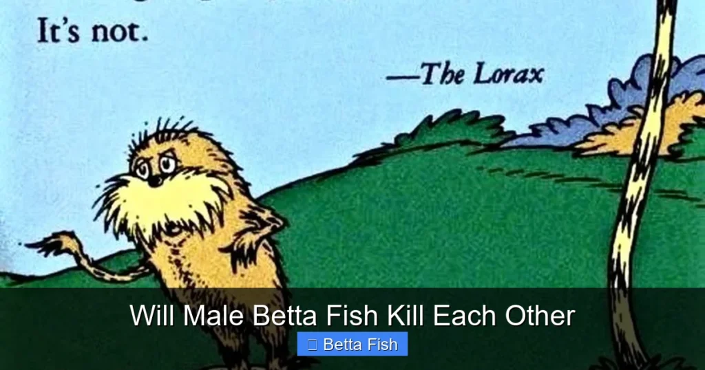 Will Male Betta Fish Kill Each Other