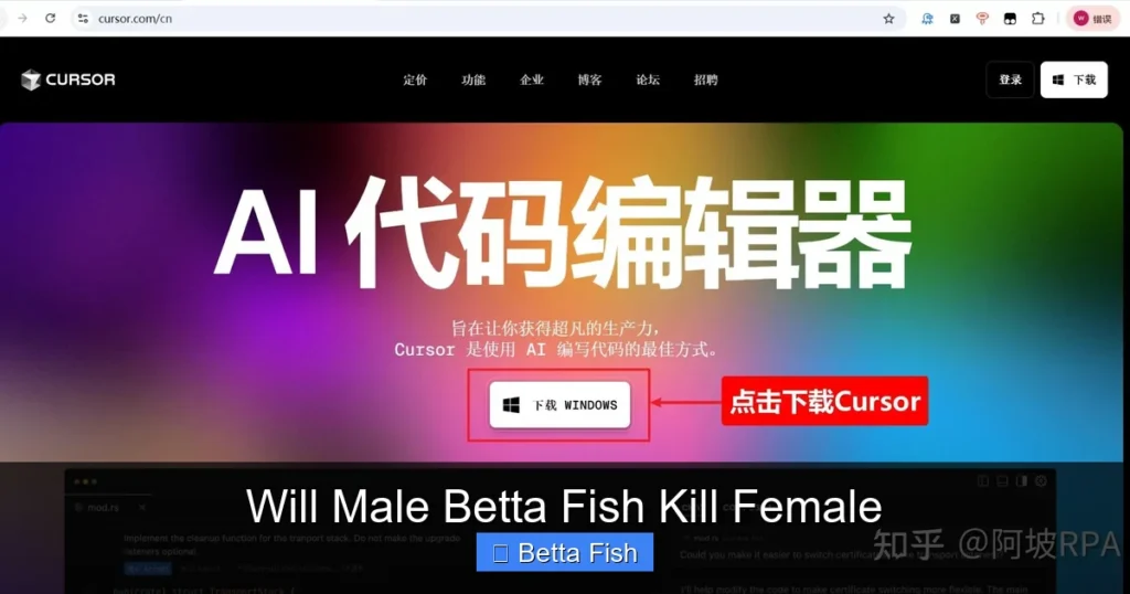Will Male Betta Fish Kill Female