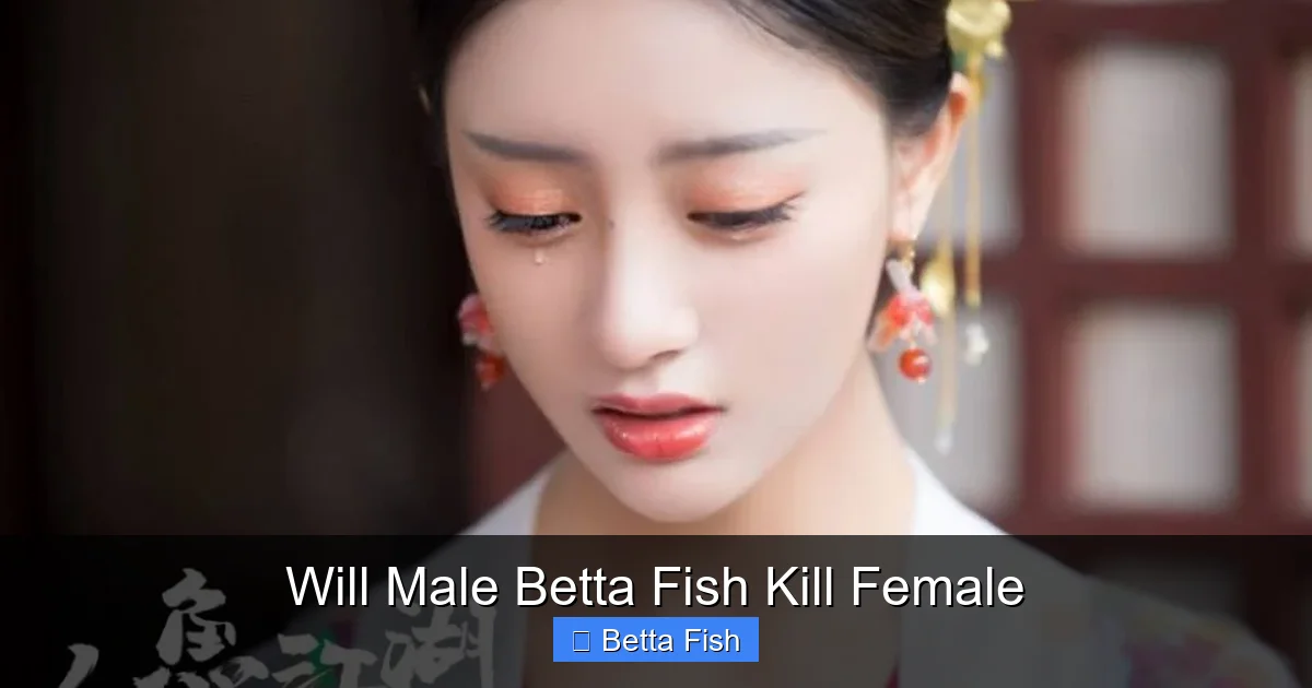Will Male Betta Fish Kill Female