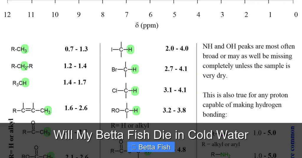Will My Betta Fish Die in Cold Water