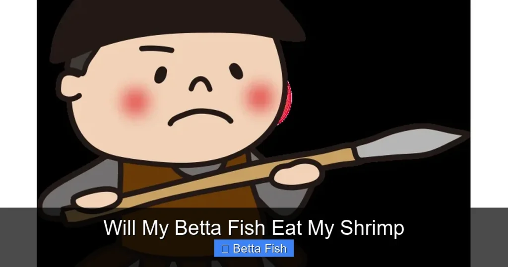 Will My Betta Fish Eat My Shrimp
