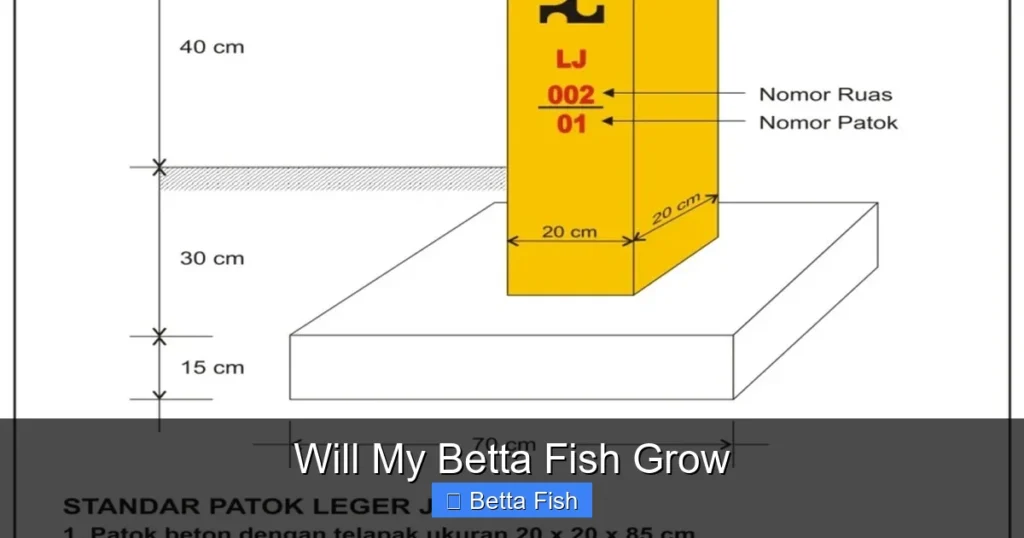 Will My Betta Fish Grow