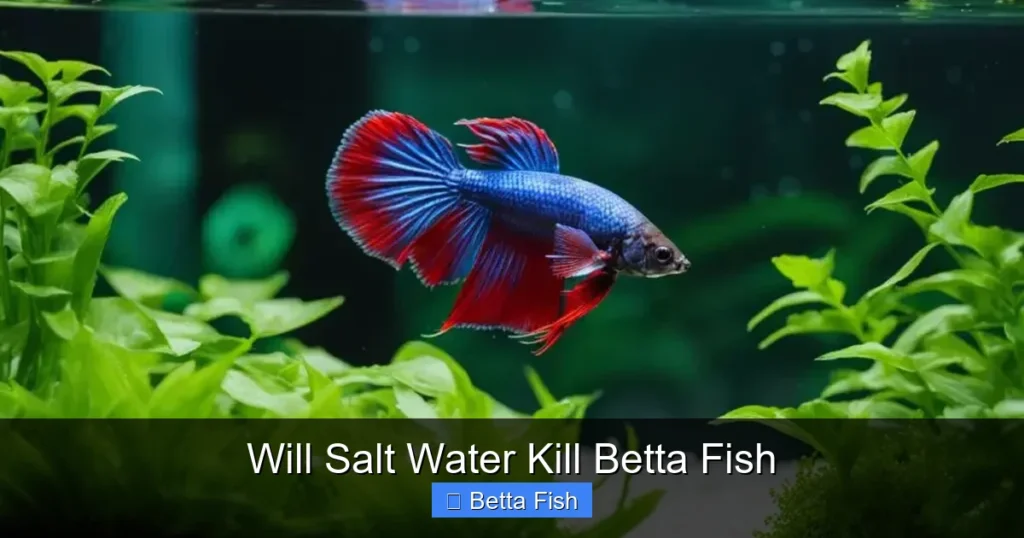 Will Salt Water Kill Betta Fish