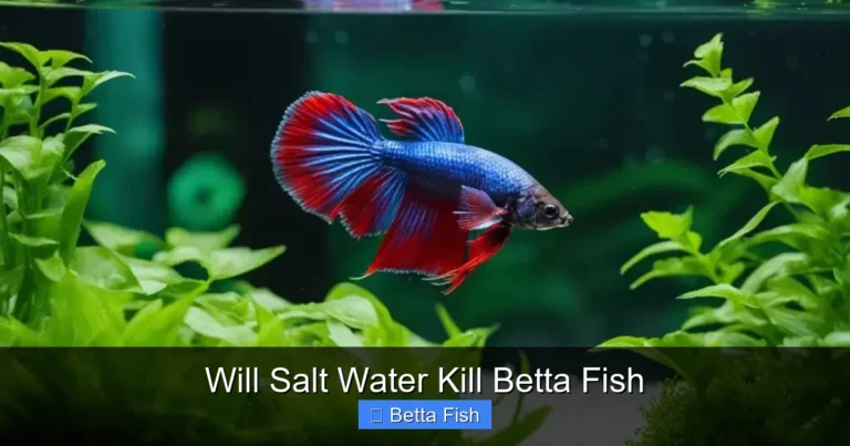 Will Salt Water Kill Betta Fish