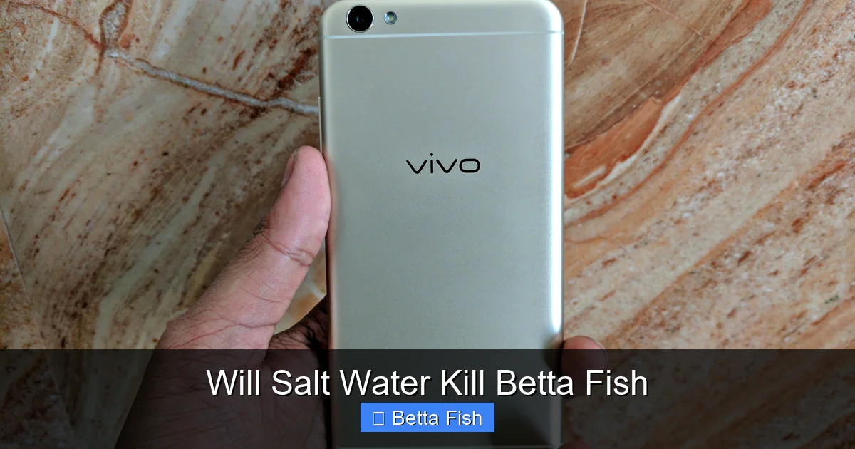 Will Salt Water Kill Betta Fish