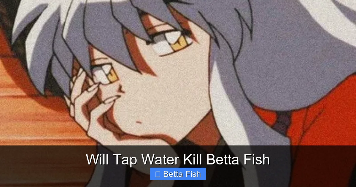 Will Tap Water Kill Betta Fish
