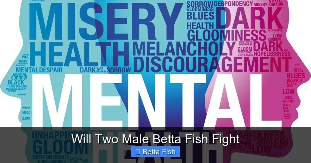 Will Two Male Betta Fish Fight