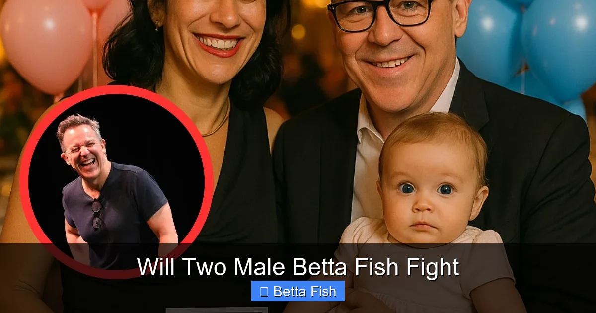 Will Two Male Betta Fish Fight
