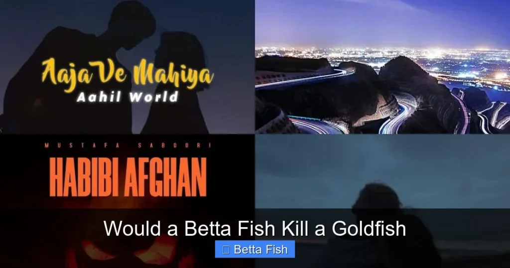 Would a Betta Fish Kill a Goldfish