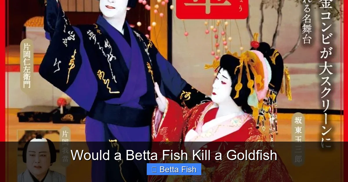 Would a Betta Fish Kill a Goldfish