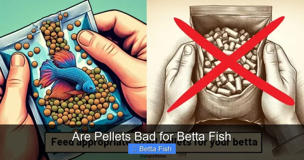 Are Pellets Bad for Betta Fish