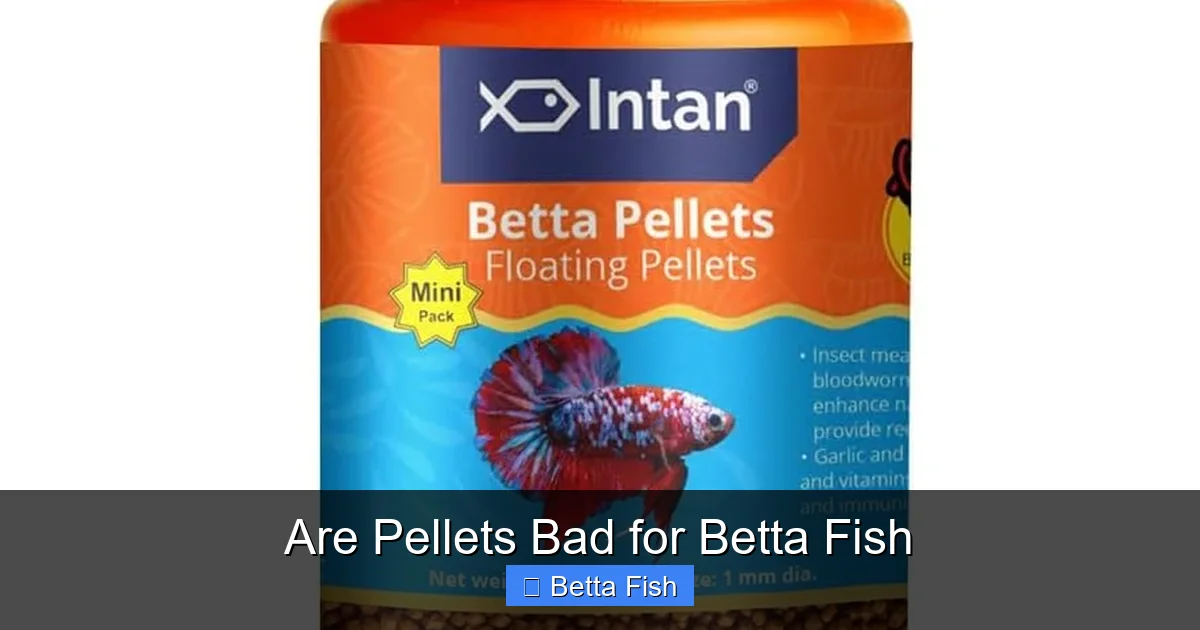 Are Pellets Bad for Betta Fish
