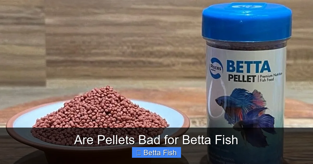 Are Pellets Bad for Betta Fish