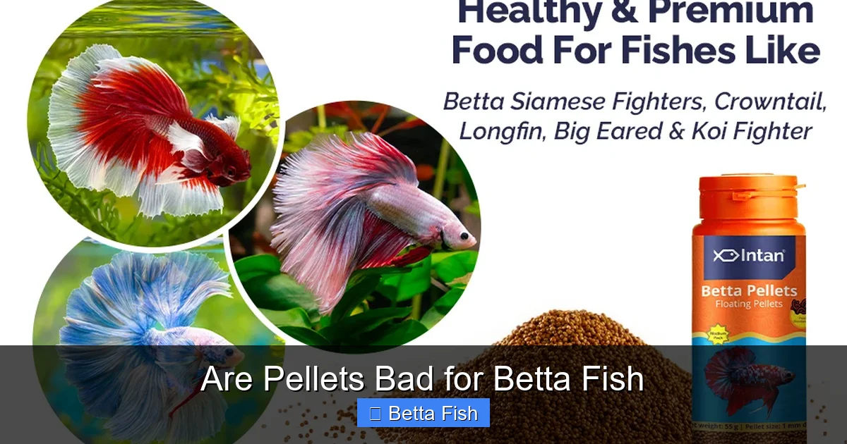 Are Pellets Bad for Betta Fish