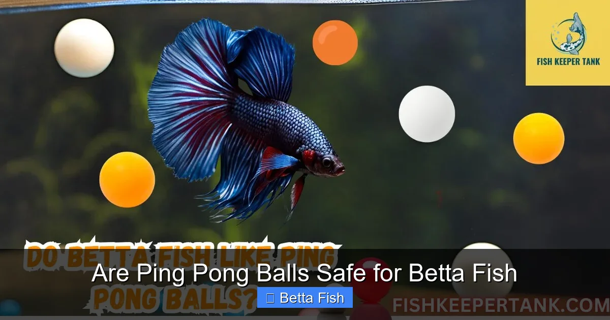 Are Ping Pong Balls Safe for Betta Fish