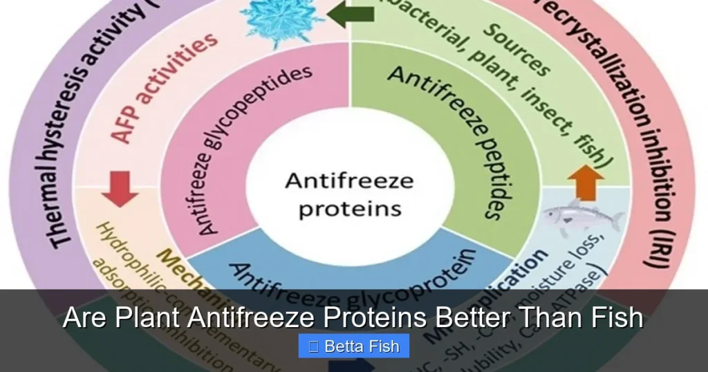 Are Plant Antifreeze Proteins Better Than Fish