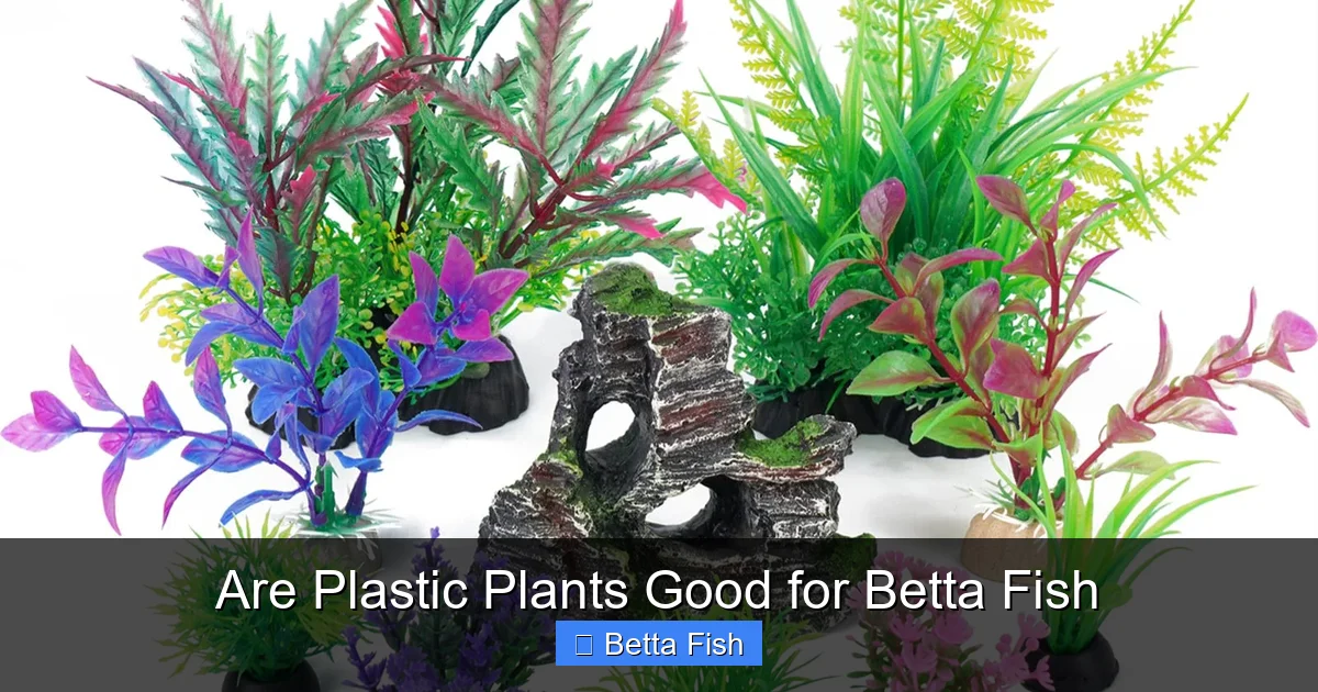 Are Plastic Plants Good for Betta Fish