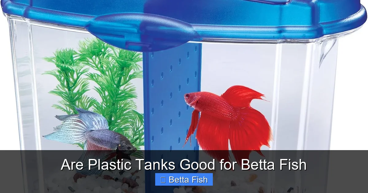 Are Plastic Tanks Good for Betta Fish