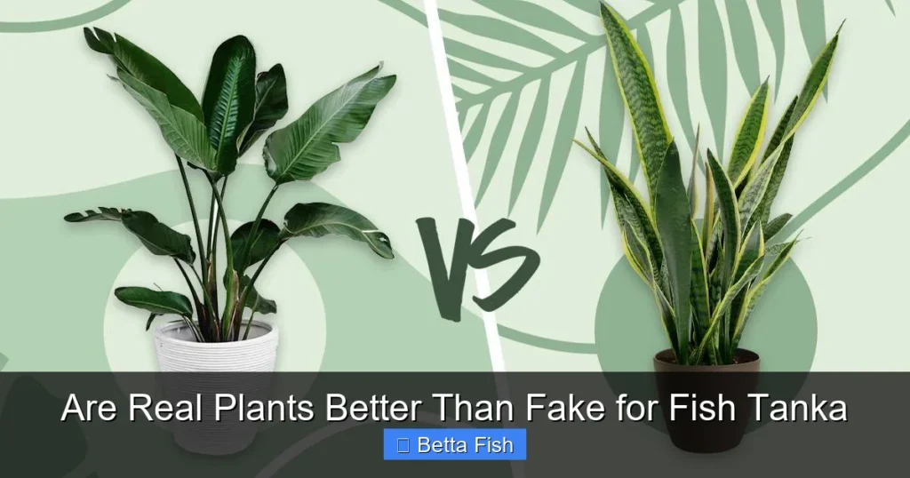 Are Real Plants Better Than Fake for Fish Tanka