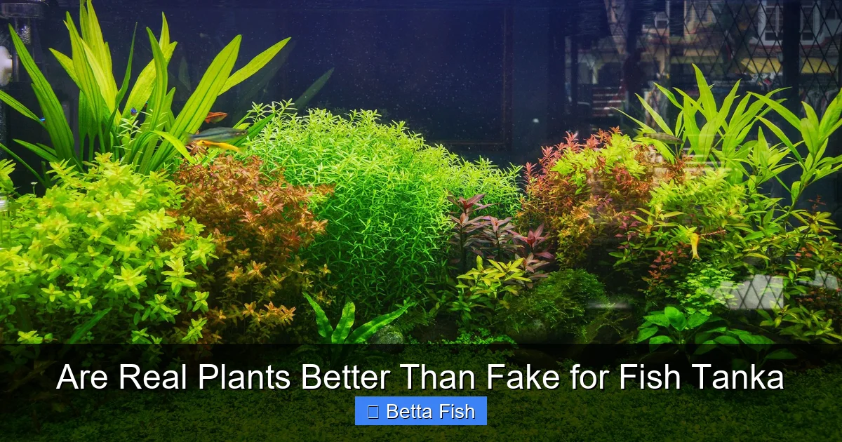 Are Real Plants Better Than Fake for Fish Tanka