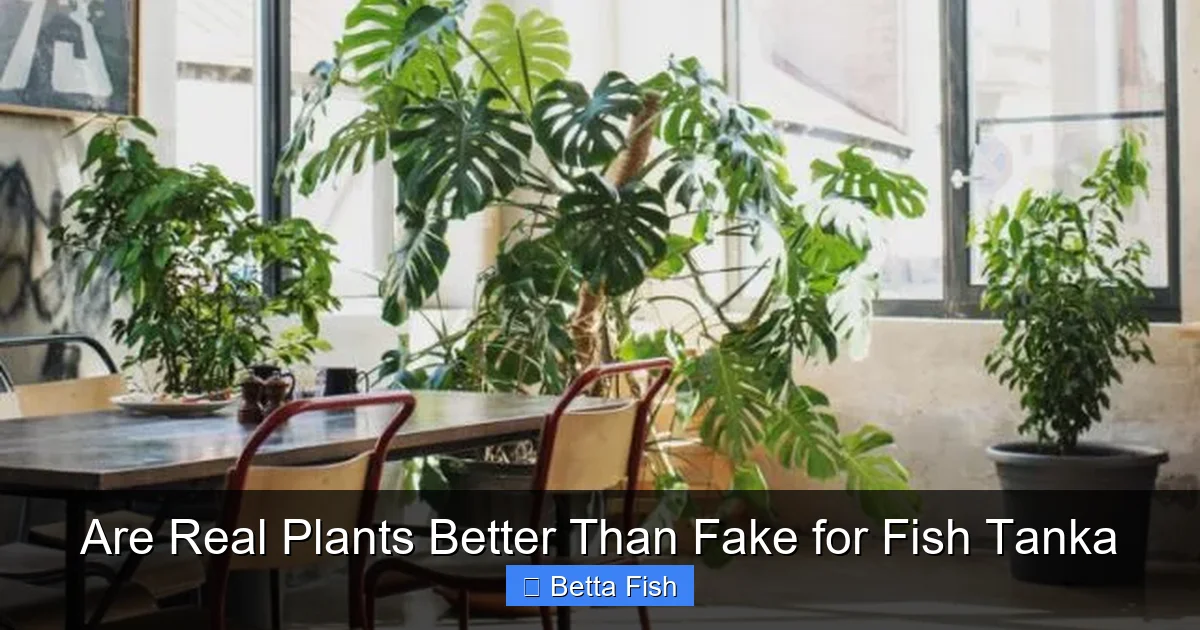 Are Real Plants Better Than Fake for Fish Tanka