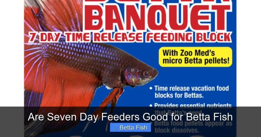 Are Seven Day Feeders Good for Betta Fish