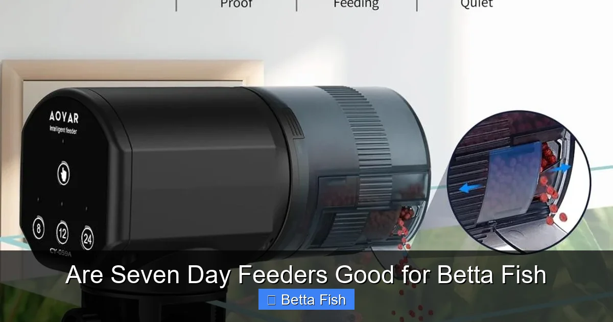 Are Seven Day Feeders Good for Betta Fish
