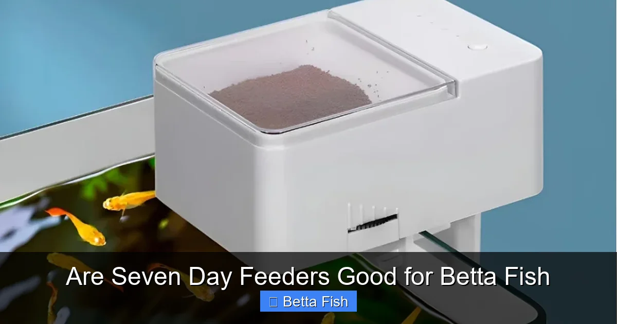 Are Seven Day Feeders Good for Betta Fish