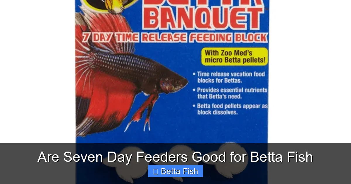 Are Seven Day Feeders Good for Betta Fish
