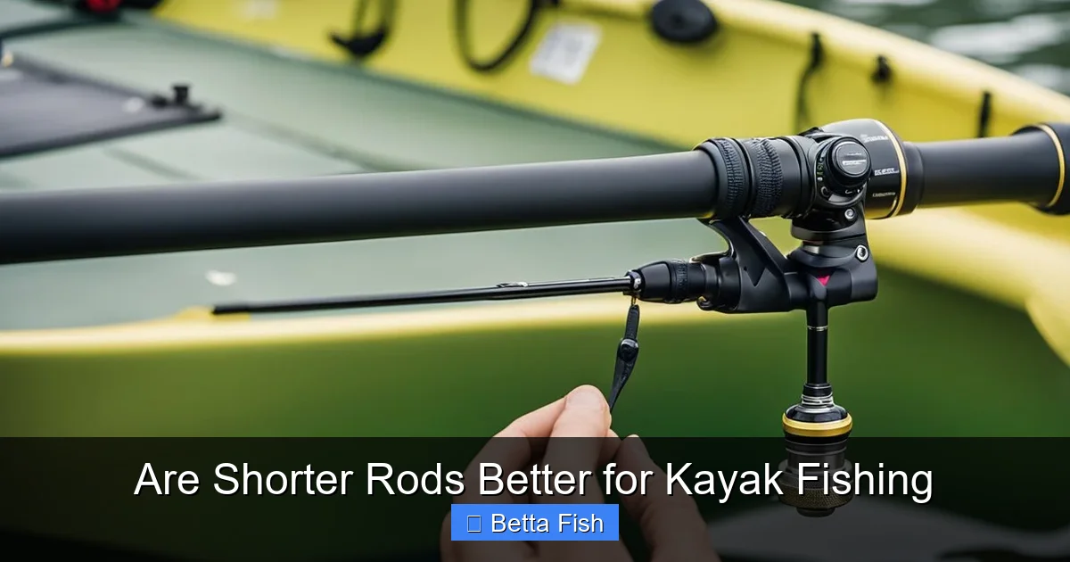 Are Shorter Rods Better for Kayak Fishing