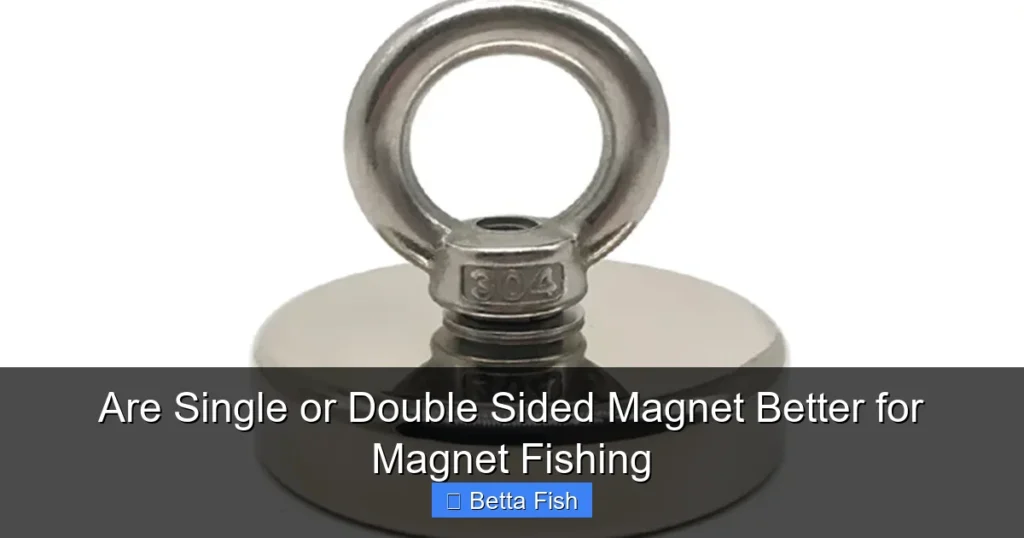 Are Single or Double Sided Magnet Better for Magnet Fishing